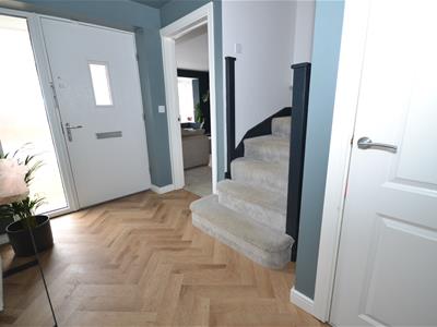 Picture 7